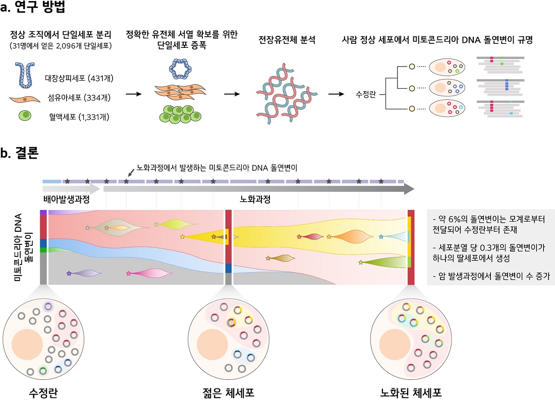 연구 개요