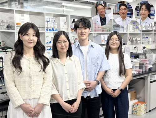 부작용·내성 극복한 신개념 칸디다증 치료제 개발 이미지