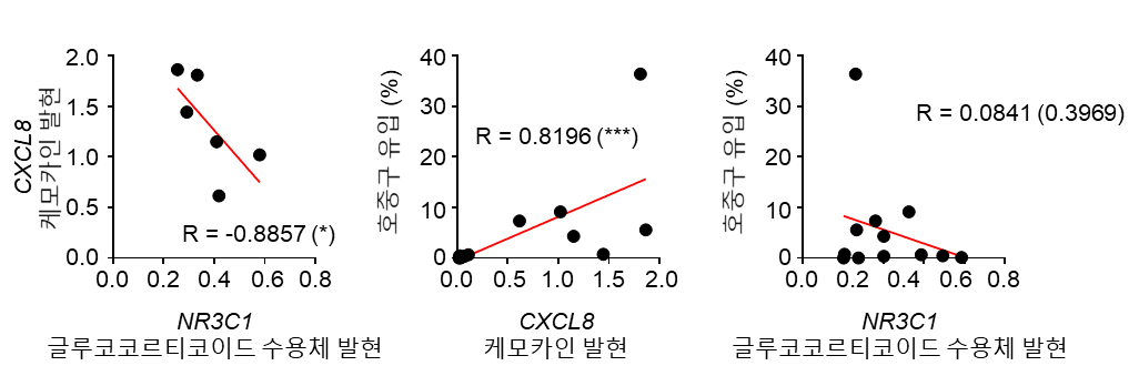 그림 5. 당질코르티코이드 수용체와 CXCL8 케모카인의 발현, 호중구 유입량의 상관관계도