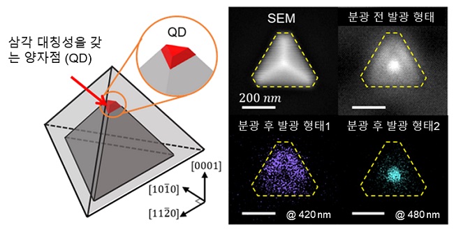 그림 1. 수 나노미터 수준의 공간분해능을 갖는 주사전자현미경(Scanning electron microscopy, SEM)을 이용하여 실제로 제작된 단일 나노구조체의 발광특성을 실험적으로 측정한 데이터. 발광 스펙트럼을 분광하기 전 발광 형태는 삼각 피라미드의 가운데에서 빛이 강하게 방출됨을 확인. 분광 후 각각 다른 파장에서 발광을 관찰하였을 때, 옆면의 발광파장(420 nm)과 꼭지점에 형성된 양자점(QD)의 발광파장(480 nm)이 확실히 구분되는 것을 통해 양자점이 정확히 삼각 피라미드의 꼭지점에 형성되었음을 확인함.