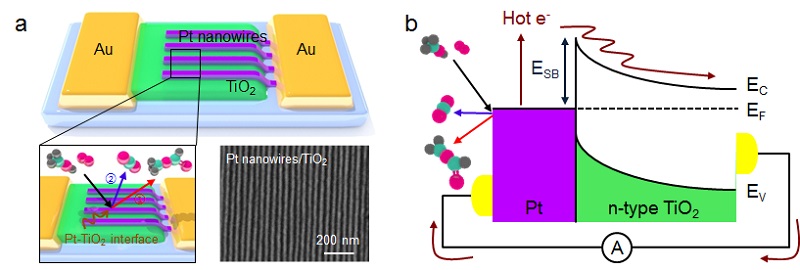 그림 2. 백금 나노선을 타이타니아에 증착시켜 제작한 핫전자 촉매소자를 이용한 금속-산화물 계면에서 촉매 반응에 의해 생성되는 핫전자 이동 검출