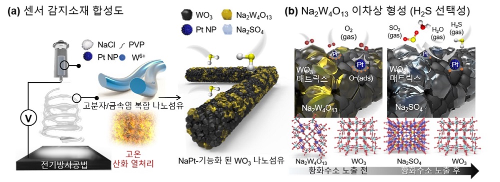 그림 1. 나트륨과 백금 촉매가 기능화된 텅스텐 산화물 나노섬유 합성 모식도