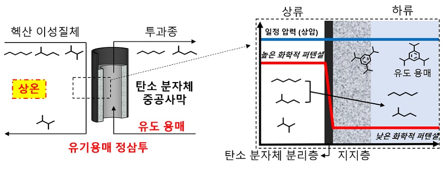 그림 2. 상온에서 액상 혼합물을 직접적으로 분리하는 유기용매 정삼투 시스템의 모식도 : 중공사막의 가운데(하류)로 유도 용매가 흐르며, 이를 통해 상류 헥산 이성질체의 농도 기울기가 하류 쪽으로 형성된다. 이에 상응하여 생성되는 화학적 포텐셜 기울기에 따라 유도 용매 쪽으로 상류의 헥산 이성질체들이 자연스럽게 투과하게 되는데, 그림 1의 확산 거동 차이에 따라 2,3-다이메틸부탄은 상류에 농축되게 된다. 유도 용매의 분자 크기는 탄소 분자체의 초미세기공보다 충분히 커서 상류 측으로의 역확산은 나타나지 않는다.