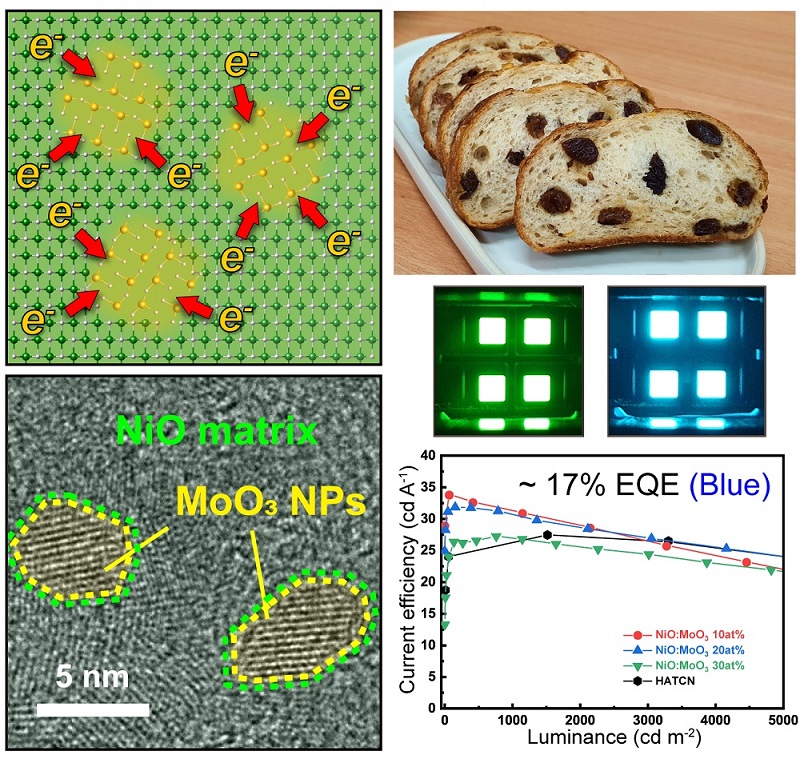 그림 1. 건포도 빵 구조의 산화니켈, 산화 몰리브덴 전하 전달 복합체 및 소자 성능