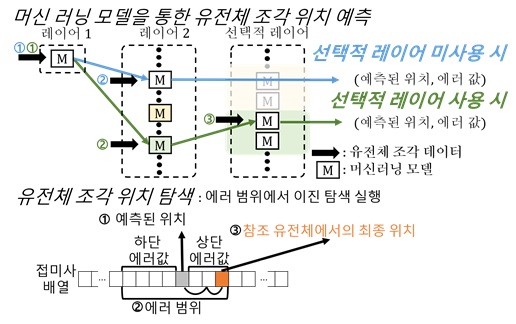 그림 2. 머신러닝 모델을 통해 유전체 조각의 위치를 예측하는 과정 모식도. Learned-index의 머신러닝 모델에 유전체 조각을 입력하면, 유전체 조각의 위치를 머신러닝 모델이 예측한다. 이어서 예측된 위치와 에러 값을 이용하여 이진 탐색 범위를 설정한다. 유전체 조각과 참조 유전체를 비교하며 이진 탐색을 진행하여 유전체 조각의 정확한 위치를 찾고, 찾은 위치들을 기반으로 유전체 정렬을 하게 된다.