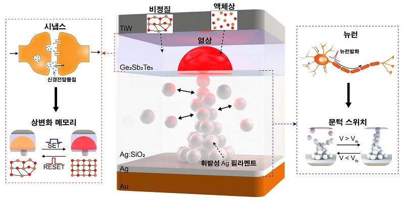 그림 1. 뉴런과 시냅스를 동시에 모사하는 뉴로모픽 소자