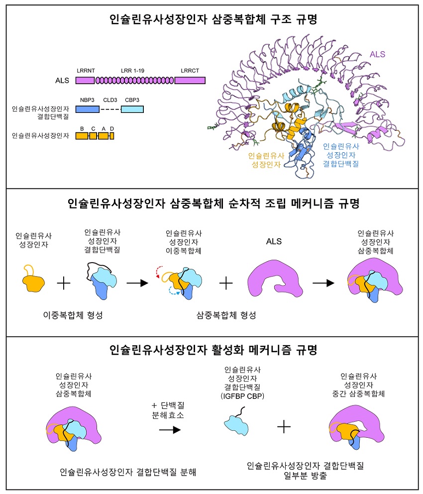 연구 개념도