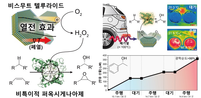 그림 1. 열전효과에 의한 비스무트 텔루라이드의 과산화수소 생성 및 이에 의하여 활성화된 효소 반응 (왼쪽). 차량 주행 중 발생하는 배기열을 활용한 화학물질 합성 (오른쪽). 