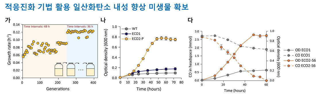 그림 2. 적응진화 기법 활용 일산화탄소 내성 향상 미생물 확보