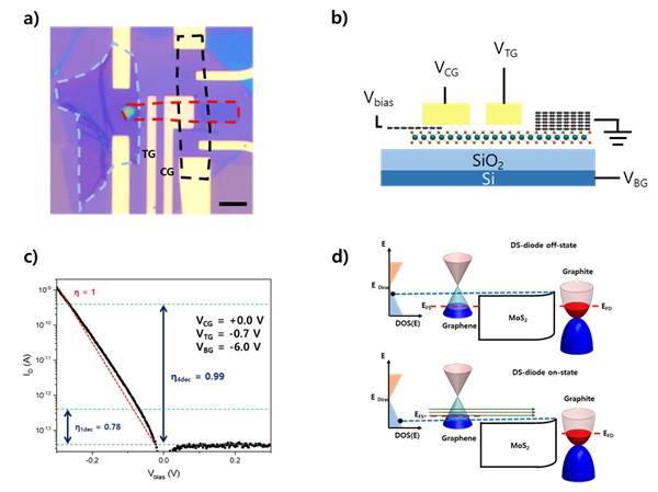그림 1. a) 단층 그래핀/이황화 몰리브덴/다층 그래핀 이종접합 다이오드 소자. b) 단층 그래핀/이황화 몰리브덴/다층 그래핀 이종접합 다이오드 소자의 구조도. c) 이상지수가 1보다 작은 고성능 다이오드 특성을 보여주는 측정. d) 그래핀 소스를 이용한 다이오드에서 이상지수가 1보다 작은 고성능 다이오드 특성이 나올 수 있음을 설명하는 에너지 밴드 구조도. 