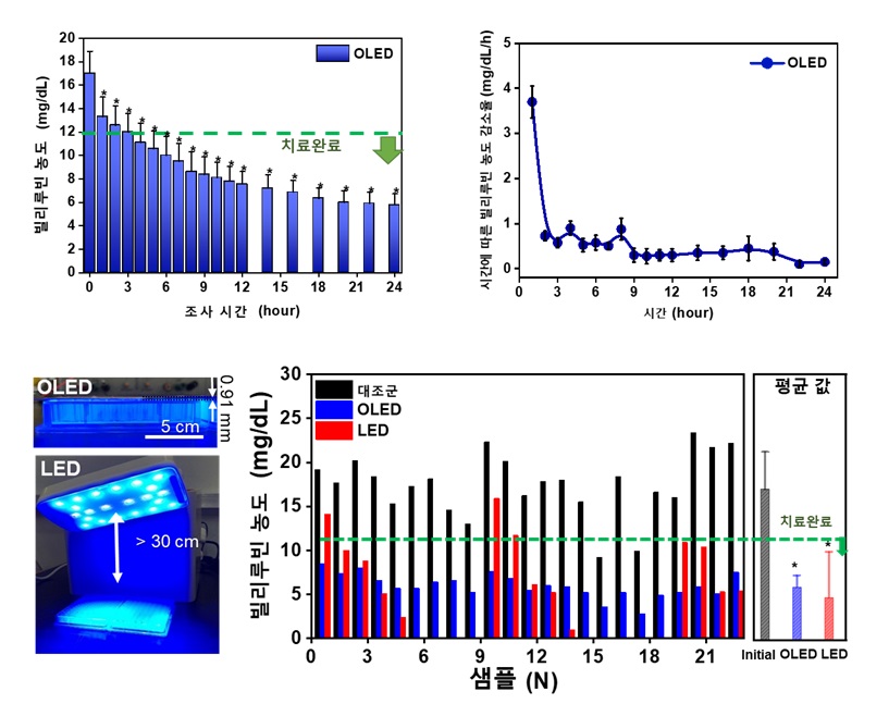 그림 2. 청색 OLED 광원에 의한 빌리루빈 감소 (황달 치료) 효과 및 기존 LED 기술 대비 청색 OLED 광원에 의한 균일한 황달 치료 효과 확인