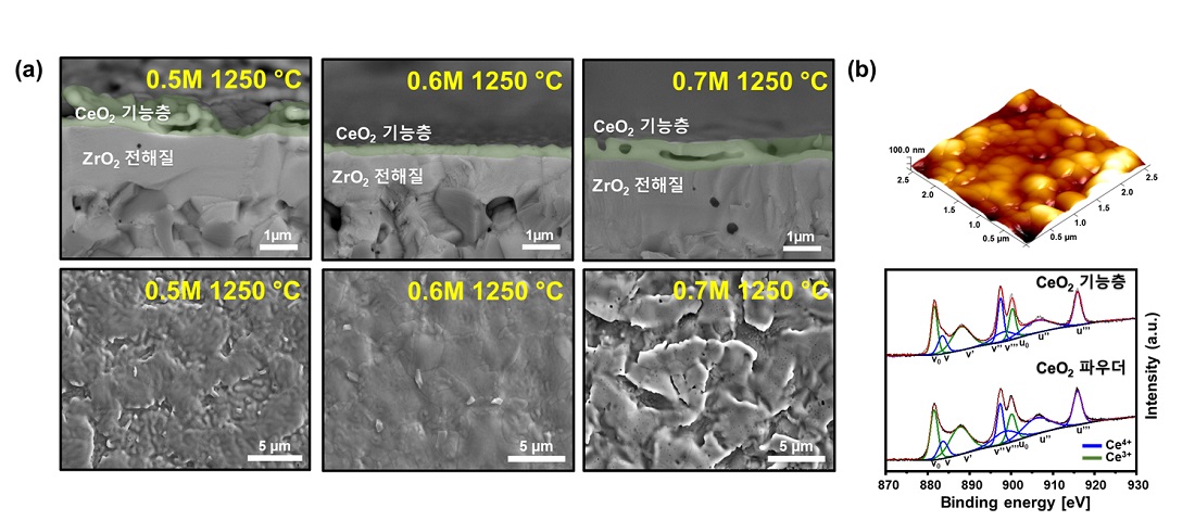 그림 2. (a) 코팅용액 농도에 따른 박막 세리아 기능층 미세구조 및 (b) 표면 분석 결과
