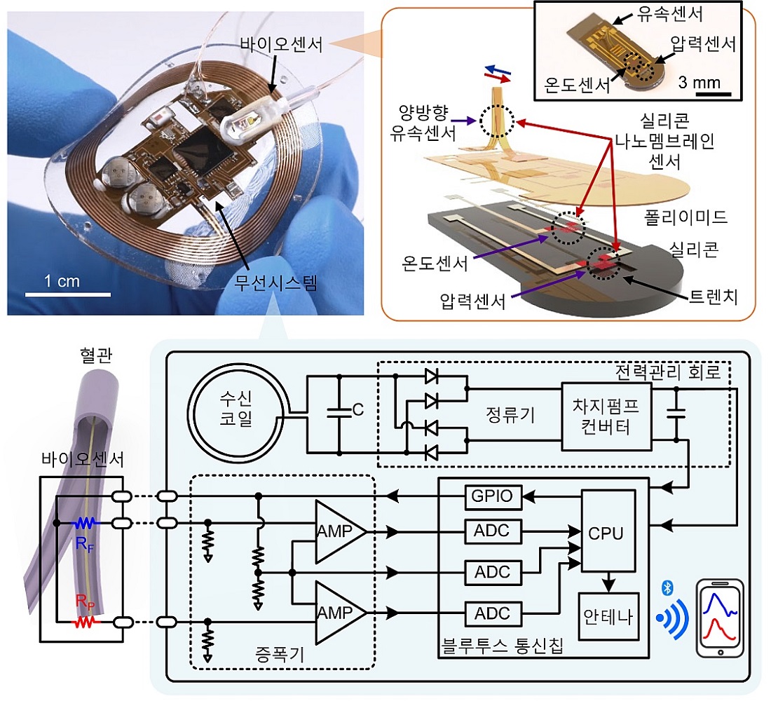 그림 2. 무선시스템은 (1) 무선 전력 수급을 위한 수신 코일 및 전력 관리부, (2) 블루투스 기반의 무선 데이터 전송부와 (3) 바이오센서의 저항값 변화를 전압으로 변환해주는 증폭기로 구성된다. 무선시스템은 피하 주변 조직 손상 없이 삽입이 가능하도록 유연 인쇄회로기판으로 제작되었고, 주변 조직 및 생체 액체로부터 기계적 및 유체적 격리가 가능하도록 생체 적합성 실리콘 엘라스토머로 코팅 및 밀봉되었다. 바이오센서는 실리콘 나노멤브레인을 이용하여 mm 수준으로 제작되어 혈관 내 스텐트나 인공판막 등 다양한 의료기기와의 통합 가능성을 제공하며, 최소 침습성 경간막 시술을 통해 이식 가능하다.
