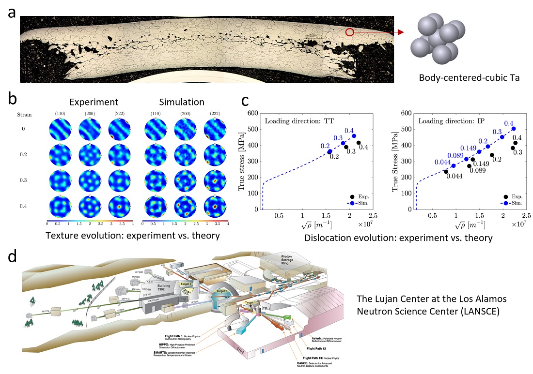 그림 1 a. BCC Ta의 현미경 사진 b. 미세구조 발달 실험 및 이론 모델 결과 c. 전위 결함 발달 실험 및 이론 모델 결과 d. 실험을 수행한 Los Alamos National Lab의 Neutron Science Center