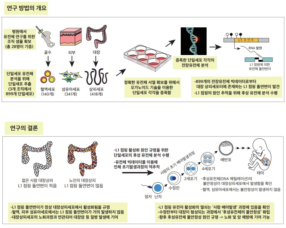 그림 1. 연구 개요