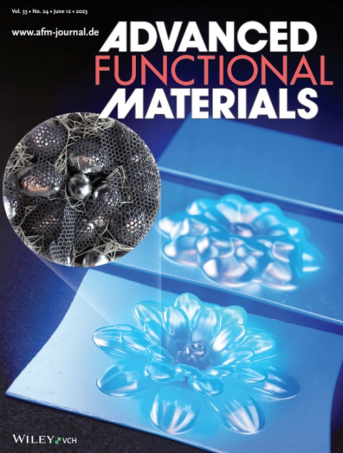 그림 3. 어드밴스드 펑셔널 머티리얼즈(Advanced Functional Materials) 지 내부 뒤 표지 이미지