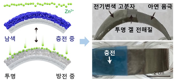 그림 1. 충전시 남색 방전시 투명하게 바뀌는 고분자가 양극으로 이루어진 전기변색 아연이온전지 (Zn ion battery)