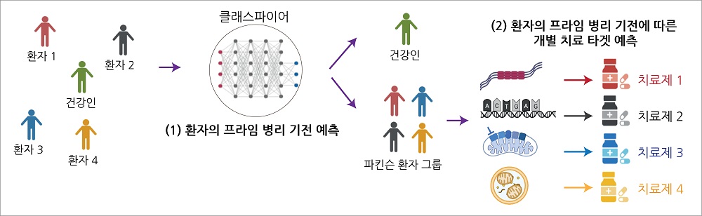 그림 3. 인공지능 기반의 파킨슨 하위 유형 예측 플랫폼: 데이터를 학습한 머신러닝 기반 클래시파이어 (Classifer)는 (1) 모집단을 파킨슨 그룹과 건강한 그룹으로 나누고, 파킨슨 그룹 환자 개개인을 기전적 하위 유형에 따라 추가적으로 분류해 (2) 파킨슨병 환자들의 고유한 질병 하위 유형에 맞는 기전 특이적 효능 약물들을 매칭시킴으로써 파킨슨병 치료 효과를 개선할 수 있음