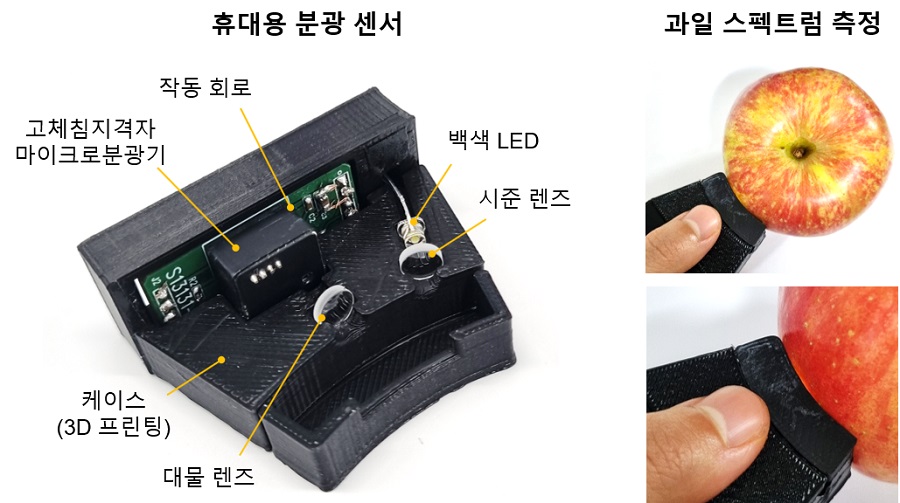 그림 3. (좌) 고체잠입회절판구조 마이크로분광기 기반 휴대용 분광 센서. (우) 휴대용 분광 센서를 이용한 과일 표면 반사 스펙트럼 측정.