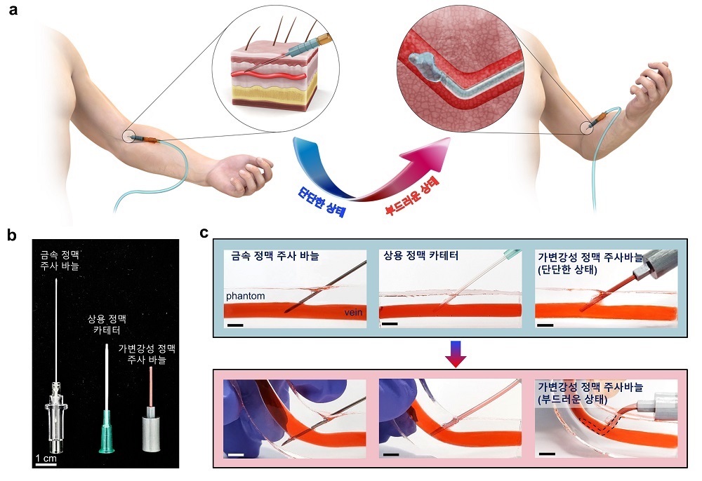 그림 1. 일회용 가변강성 정맥 주사바늘 (a) 체온에 의해 기계적 물성 변화가 가능한 일회용 정맥 주사바늘 활용에 대한 개념도, (b) 상용 정맥 주사바늘과 가변강성 정맥 주사바늘, (c) 상용 정맥 주사바늘과 가변강성 정맥 주사바늘의 생체조직 친화력 비교