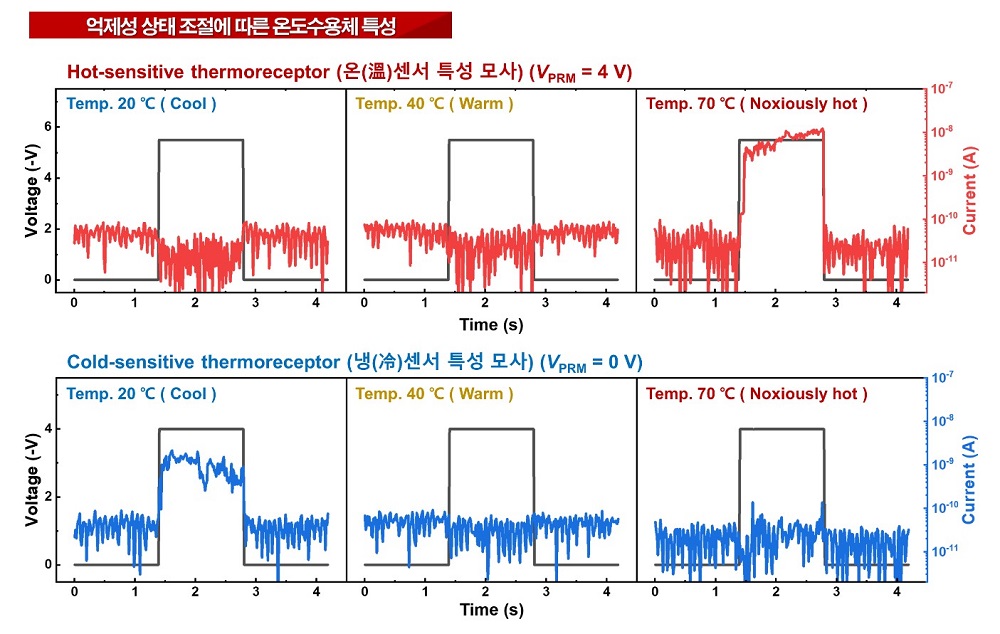 그림 4. 온도수용체 (a) 온(溫)센서 및 (b) 냉(冷)센서 특성 모사