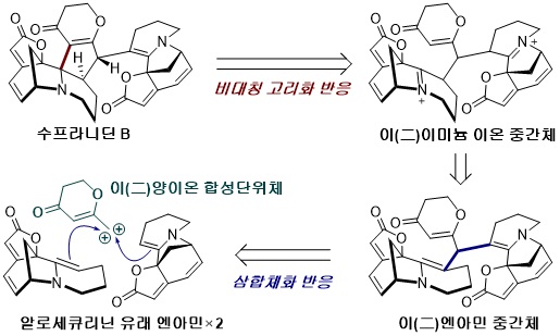 그림 1. 수프라니딘 B의 합성 전략