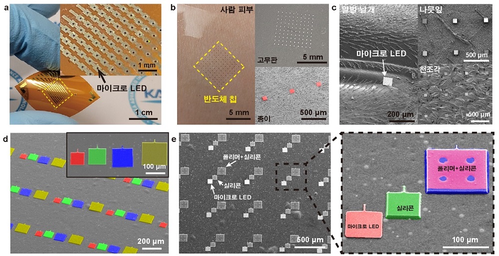 그림 2. 마이크로진공 전사 기술을 통한 초소형 반도체 전사 마이크로진공 전사 기술을 활용하여 마이크로 LED, 초소형 실리콘 칩 등을 유연 폴리이미드 기판, 사람 피부, 고무판, 종이, 말벌 날개, 나뭇잎, 천 조각과 같은 다양한 기판에 전사하였다(그림 a,b,c). 또한 다양한 재료, 크기, 두께의 반도체 칩을 원하는 배열로 최종기판에 전사하였다(그림 d,e).