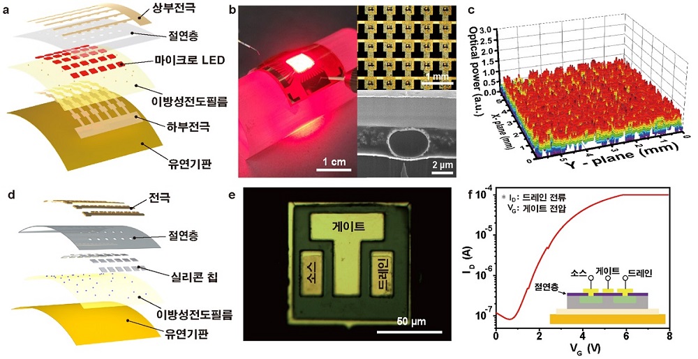 그림 3. 마이크로진공 전사 기술을 통해 제작된 유연 전자 소자 마이크로진공 전사 기술을 통해 유연 마이크로 LED 발광 소자 및 트랜지스터 소자를 제작하였다. 유연 마이크로 LED 발광 소자는 이방성전도필름을 통해 하부전극과 전기적으로 연결되었으며 전발광면적에서 고른 광균일도를 나타내었다(그림 a,b,c). 또한 초소형 실리콘 칩을 유연 기판에 전사하여 유연 트랜지스터 소자를 제작하였고 ~103 수준의 온·오프 비를 나타내었다(그림 d,e,f).