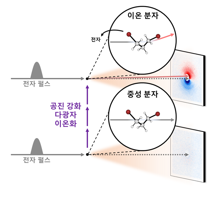 그림 1. 다이브로모프로판 분자에 대한 메가전자볼트 초고속 전자 회절 실험의 구성도. 실험을 위해 다이브로모프로판 분자에 강렬한 펨토초 자외선 레이저 펄스를 조사하여 공진강화 다광자 이온화를 유도했다. 메가전자볼트 초고속 전자 회절의 피코초 및 옹스트롬 시공간 분해능은 이온화된 다이브로모프로판의 초고속 구조변화를 직접 시각화할 수 있게 하였다. 이 과정에서 이온화 전후의 다이브로모프로판 분자 구조는 초고속 전자 펄스가 만들어내는 시간에 따른 회절 패턴을 측정함으로써 관찰되었다. 이온화 이전에는 분자가 중성 상태로 유지되며, 대부분의 전자 펄스가 직선으로 이동한다. 이 중 일부 전자는 분자와 상호작용하여 대칭적인 회절 무늬를 생성한다. 반면에 분자가 이온화된 후에는 전자빔이 생성된 이온에 의해 편향을 겪어 비대칭 회절 무늬가 생성된다. 이때 나타나는 산란 패턴은 생성된 이온의 구조 및 이온의 양의 변화에 관한 정보를 내포하고 있다.