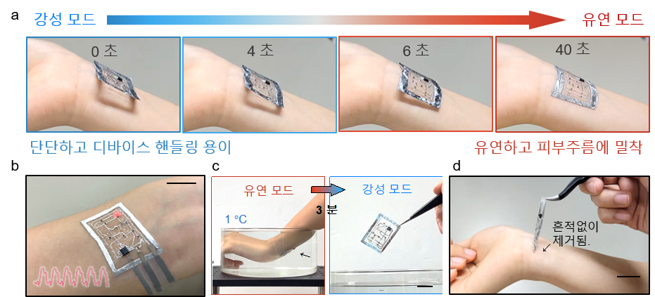 양방향성 가변강성을 가진 광혈류 전자센서