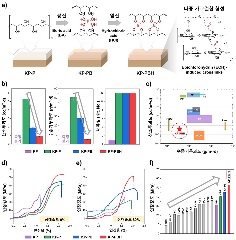 <그림 1. (a) 붕산가교 폴리비닐알코올 코팅 종이의 화학적 구조, (b-c) 산소 및 수증기 차단성 및 비교 그래프, (d-f) 건조 및 고습도 환경에서의 인장강도 및 비교 그래프>