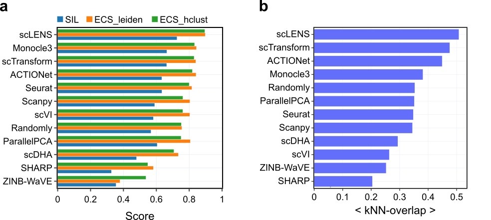 그림 2. scLENS 성능. a. scLENS는 11개의 다른 분석 도구들과 비교했을 때, 가장 높은 실루엣 스코어(파란색 막대)를 기록하였다. 이는 scLENS가 실제 세포 유형(true cell-type)을 가장 잘 반영하는 차원 축소 결과(임베딩)를 생성한다는 것을 의미한다. 더 나아가, 이 차원 축소 결과에 계층적 클러스터링(초록색 막대)과 그래프 기반 클러스터링(주황색 막대)을 적용하여 레이블을 얻었을 때, 실제 세포 유형과의 유사도가 다른 분석 도구들에 비해 가장 높게 나타났다. b. scLENS는 타 분석 도구들에 비해 원래 데이터로부터 얻은 k-최근접 이웃 구조와 가장 유사한 구조를 다운 샘플링된 데이터로부터 얻어낼 수 있음을 가장 높은 k-최근접 이웃 중첩 점수(kNN-overlap score)를 기록함으로써 입증했다.