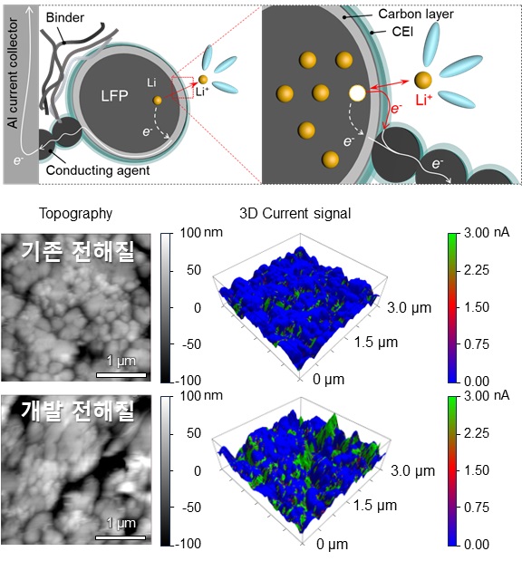 그림 3. 고속 충전 과정 중 리튬인산철 양극의 원활한 탈리튬화 반응을 위하여 TMSBTA 첨가제 형성한 전도성의 양극-전해질 계면막을 통한 전자 전잘 경로 모식도. 개발된 첨가제가 사용되지 않은 리튬인산철 양극과 개발 첨가제를 적용한 리튬인산철 양극의 C-AFM 나노스케일 영상화 결과.  C-AFM 영상화 결과에서 보이듯이 개발 첨가제를 사용한 경우 3D 전류 신호가 비교적 높은 값을 가짐(초록색 부분이 증가함)을 확인할 수 있다.