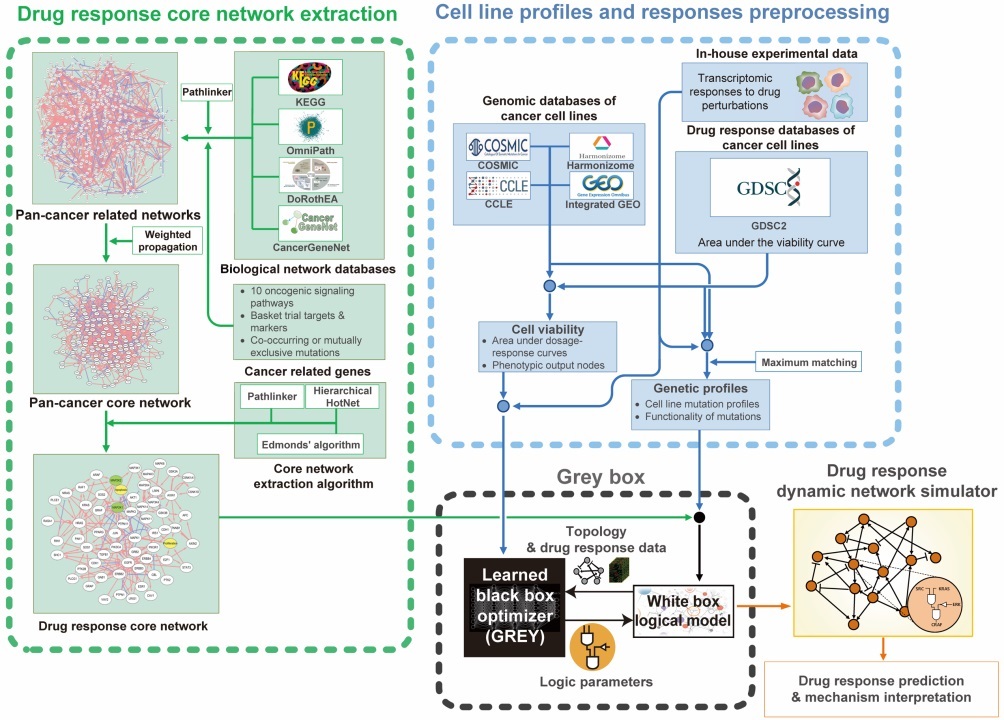 그림 1. 그레이박스 기술의 개념적인 구조. 조광현 교수 연구팀은 높은 예측성능을 보이지만 그 근거를 알 수 없어 블랙박스로 불리는 딥러닝과, 복잡한 대규모 모델의 경우 예측성능에 한계를 지니지만 예측에 대한 근거를 상세히 제시할 수 있는 시스템생물학기술을 융합하여 약물반응의 예측과 그 메커니즘 분석을 모두 수행할 수 있는 소위 그레이박스 기술을 개발하였다.