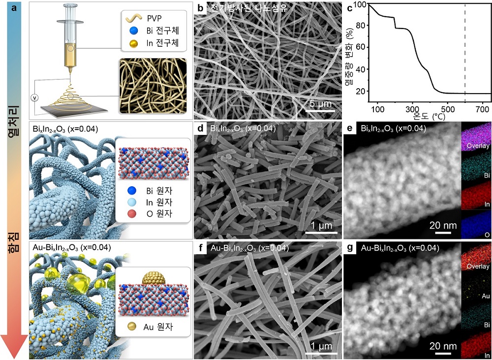 그림 1. 가시광활성 이산화질소 감지용 금(Au) 나노입자 결착 및 비스무스(Bi)가 도핑된 인듐산화물(Au-BixIn2-xO3) 나노섬유 소재 제작 과정