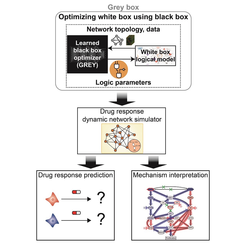 그림 4. 연구결과 모식도. 조광현 교수 연구팀은 시스템생물학 기술과과 딥러닝 기술의 융합을 통해 약물에 대한 암세포의 반응성 예측 및 기전 제시를 동시에 해낼 수 있는 그레이박스 융합원천기술을 개발하였다.
