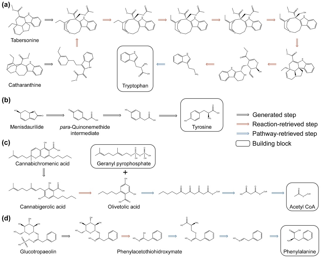 그림 1. 리드레트로(READRetro)를 활용해 예측한 천연물 생합성 경로. 천연물 생합성 연구에서 주목받고 있는 catharanthine, tarbersonine을 비롯한 다양한 천연물의 생합성 경로를 성공적으로 예측하였다.