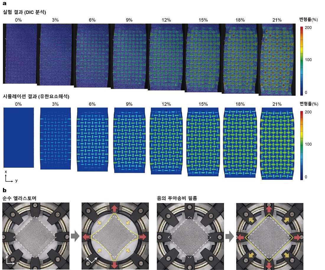 그림 2. 본 연구에서 제작한 음의 푸아송비 필름의 변형 모습. a) 세로 방향으로 늘릴 때의 모습과 유한요소 시뮬레이션 결과. b) 2축 신장 이미지. 순수 엘라스토머 소재는 신장이 없는 방향으로 수축이 일어나는 데에 반해 본 연구에서 개발한 음의 푸아송비 필름은 원래의 형태를 유지하면서 전 방향으로 동시에 팽창한다.