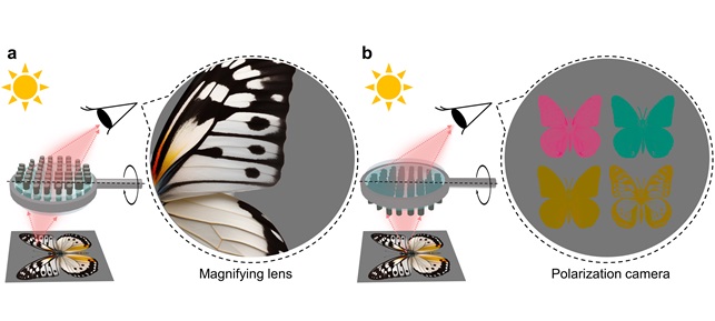 그림 1. 빛이 입사되는 방향에 따라 독립적인 두 가지 기능을 하는 메타표면. (a) 한쪽 방향은 확대 렌즈, (b) 다른 방향은 편광 카메라로 작동하는 메타표면 예시