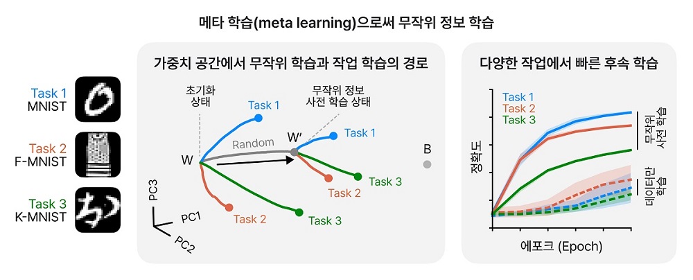 그림 2. 무작위 정보 훈련의 메타 학습 효과를 묘사하는 그림