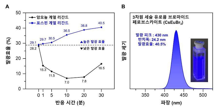 그림 2. (A) 두 가지 브로민계 유기 리간드 전구체를 사용하여 합성한 유로퓸 페로브스카이트의 반응 시간에 따른 발광효율. (B) 높은 색순도와 발광효율을 갖는 3차원 세슘 유로퓸 브로마이드 페로브스카이트