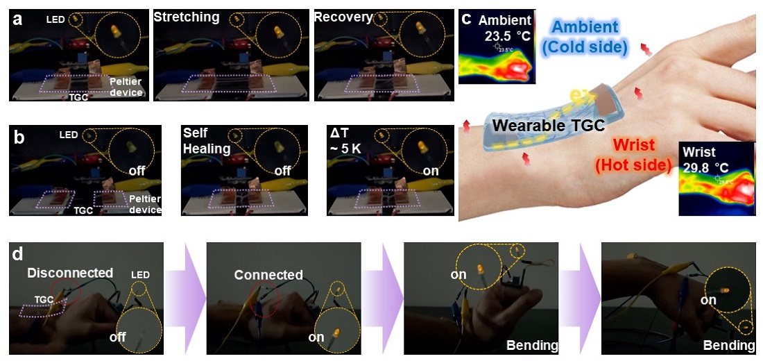 그림 2. 하이드로 젤 기반 열전 소자의 신축 그리고 자가회복 특성과 손목의 열을 통한 전구 구동 하이드로 젤 기반의 열전 소자는 신축 그리고 자가회복 후 지속적인 에너지를 생산하여 전구를 구동시킬 수 있었다. 또한, 손목과 주변 환경 사이에 약 6 ℃의 온도 차이가 존재함을 확인하였으며, 이 온도 차이를 이용하여 전구와 같은 외부 전자 소자를 구동시킬 수 있었다.
