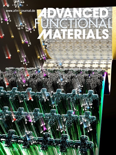 그림 3. Advanced Functional Materials 논문 전면 표지 및 게재 논문 이미지.