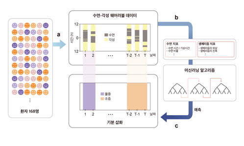그림 1. 수면-각성 데이터만을 이용한 기분 삽화 예측 모델 개발  연구진은 기존의 기분 삽화 예측 모델의 한계를 극복한 새로운 예측 모델을 개발했다. 기존의 모델들은 다양한 데이터를 필요로 한 반면, 새로운 모델은 수면-각성 웨어러블 데이터만으로 작동한다.