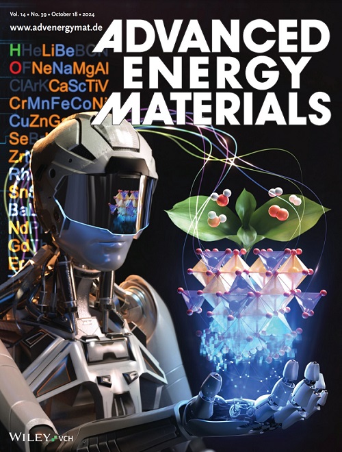 그림 1. Advanced Energy Materials 표지