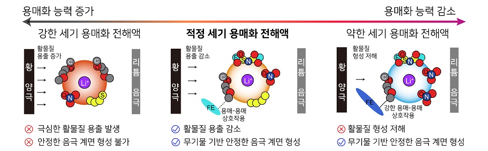 그림 2. 전해액 설계 원리