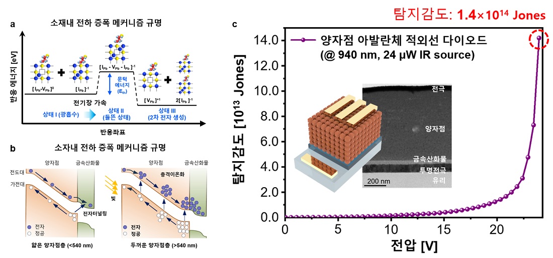 그림 1. 양자점 소재(a) 및 소자(b)에서의 아발란체 전하 증폭 메커니즘 개요도. a, 높은 전기장이 인가되면 양자점 소재내 전하를 띈 결함이 전도 전자로부터 충돌을 통해 에너지를 받아 들뜬 상태를 형성한 후, 에너지적 안정화가 일어나며 2차 전자가 생성된다. b, 소자의 관점에서 전자가 충분히 가속되어 에너지를 얻기 위해서는 충분한 양자점 층의 두께가 요구되며, 540nm 이하의 두께에서는 전자가 가속간 증폭을 위해 충분한 에너지를 얻기 전에 금속 산화물 층간 계면에서 얇아진 에너지 밴드 구조로 인해 전자 터널링이 발생한다. 따라서 540nm 이상의 충분한 양자점 층을 형성시켜 주어야만 효율적인 전자 증폭을 유도할 수 있다. c, 최적 양자점 아발란체 다이오드 소자의 구조 및 탐지 감도. 본 연구에서는 하나의 광자 흡수를 통해 약 85개의 전자를 생성하는 전자 증폭 기술을 도입하여 최대 1×1014 Jones의 높은 탐지 감도를 달성한 양자점 소자를 개발하였다.