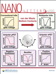 그림 2. 채택된 Nano Letters 표지 커버