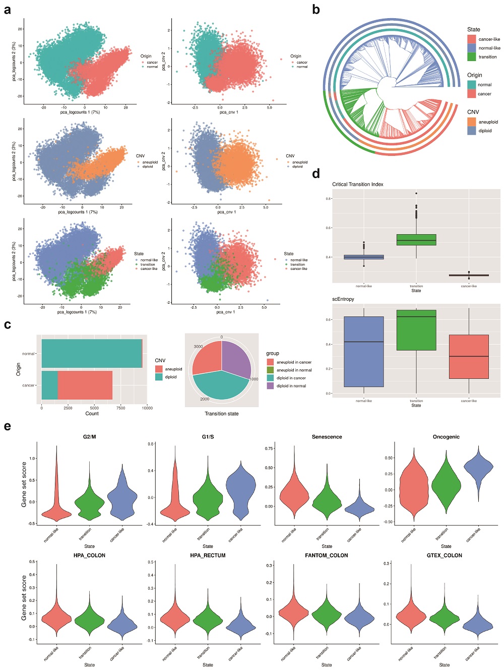 그림 2. 대장암 단일세포 유전자 발현 데이터를 이용한 암 임계전이 상태 동정. 정상 및 암조직에 대한 대장암 환자 유래 오가노이드(장기유사체)의 단일세포 유전자 발현 데이터를 이용해 정상 세포 및 암세포가 공존하고 불안정성이 증가한 암 임계전이 상태를 동정해냈다(a-d). 암 임계전이 상태는 암 또는 정상조직 관련한 주요 표현형의 특징들이 정상과 암세포 상태의 중간 수준을 보이는 것을 확인하였다(e).