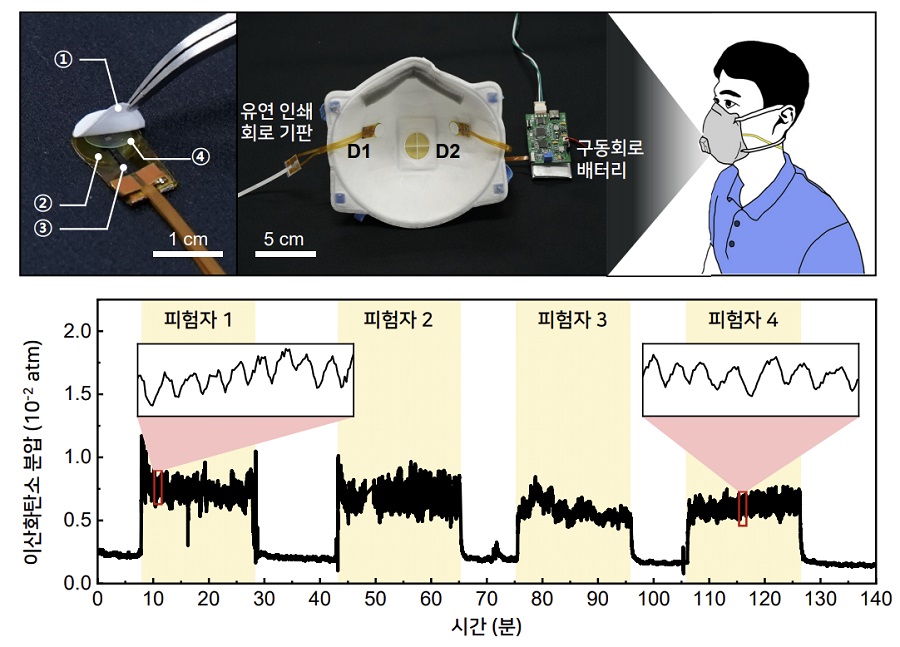 그림 2. 웨어러블 스마트 마스크와 실시간 호흡 모니터링. 제작한 센서 모듈은 네 가지 요소로 구성된다.(①: 기체 투과성 광 산란층, ②: 컬러필터 및 유기 포토다이오드, ③: 발광다이오드, ④: 이산화탄소 감지 형광 필름) 얇고 가벼운 센서(D1: 400 nm, D2: 470 nm)는 마스크 내부에 부착되어 실시간으로 착용자의 호흡을 모니터링할 수 있다.